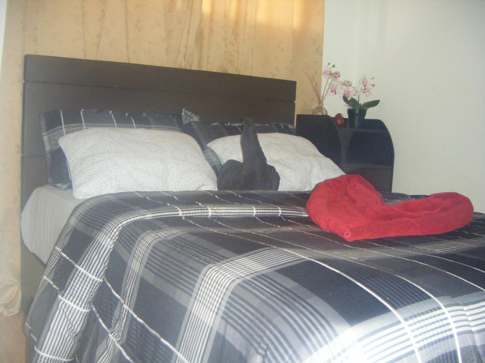 The Oasis Davao Condotel ภายนอก รูปภาพ